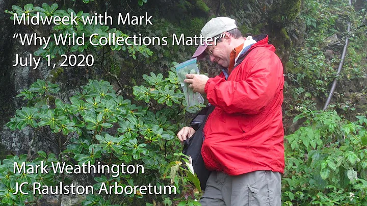 "Why Wild Collections Matter"