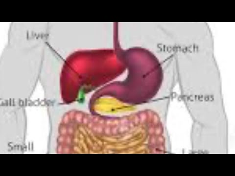 أسرع وصفة لعلاج الضغط والسكري٢ والكوليسترول