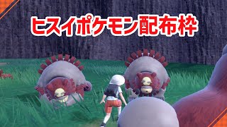 【ポケモンvS】ヒスイポケモン配布枠(ヒスイヌメルゴン) 【雑談しつつ】