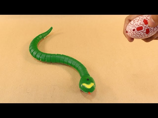 RC Snake Unboxing & Testing - Chatpat toy tv 