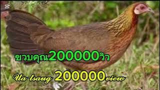 𝚜𝚞𝚊𝚋 𝚙𝚘𝚓 𝚚𝚊𝚒𝚋 𝚚𝚞𝚜 𝚜𝚎𝚎𝚟 𝚣𝚘𝚘 𝚍𝚒𝚋 𝚝𝚞𝚊𝚓 𝚣𝚘𝚘 𝚑𝚎𝚎𝚟. 𝚖𝚙3  2025/2/8