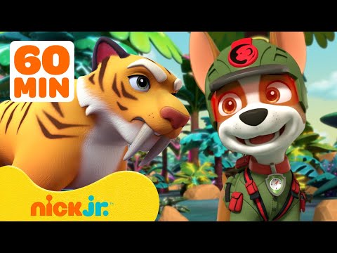 PAW Patrol's Jungle Pups Rescue Giant Animals! 🐯 w/ Marshall & Tracker | 1 Hour | Nick Jr.