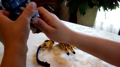 Transformer Demo Video 001