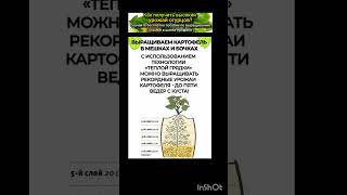 необычные способы выращивания картофеля