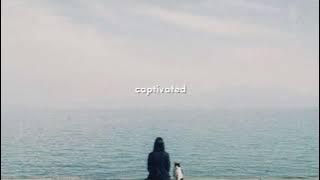 take a chance with me - niki lyrics | reverb   speed up