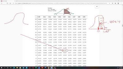BUS201 Chapter 7 Homework Illustration Video Part 1