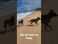 passeio na praia