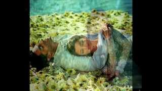 Hayat Sen Ne Çabuk Harcadın Beni