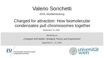 Valerio Sorichetti - Charged for attraction: How biomolecular condensates pull chromosomes together