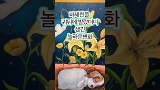 피어나길 영상
