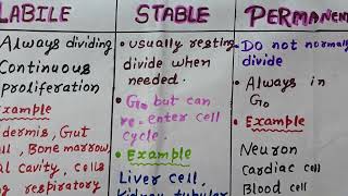 |LABILE CELL Vs STABLE CELL Vs PERMANENT CELL| NEET 2027|
