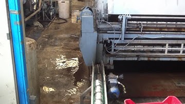 Tomato pasteurization