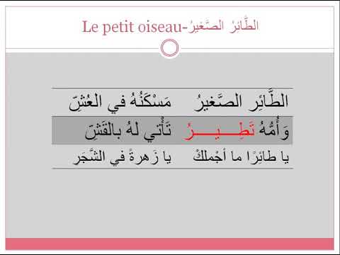 Etude de texte n°5 Le petit oiseau - الطائر الصغير