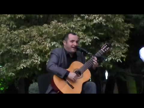 ცისარტყელას ფერებს