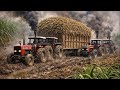 800 من گنے کی ٹرالی کماند میں پھنس گئی 5 ٹریکٹر زور آزمائی510ٹریکٹر 385میسی فرگوسن