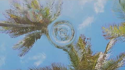 Drip Drip Drip 1440p 60fps - Blender 2.83.5 Water Simulation in Cycles