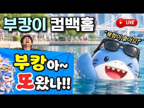 부캉이 서치라이트 학대사건ㅡ 부산상어북항