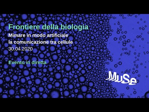 Video: Qual è il principale vantaggio della segnalazione cellulare tramite contatto fisico diretto?