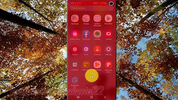 Samsung Galaxy S10 : How to enable or disable Show GPU view updates (android pie)