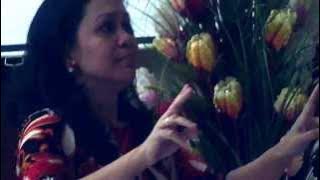 PSJ GPIB Shalom - Kulihat terang, meski tak benderang....