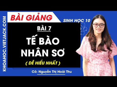 Video Tế bào nhân sơ - Bài 7 - Sinh học 10 - Cô Nguyễn Thị... - youtube