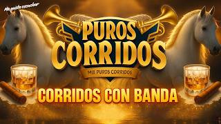 Los Alegres De Teran y Los Troqueros Sus Grandes Exitos - Corridos y Rancheras Viejitas