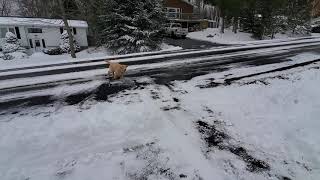 Snow!
