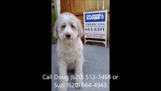 2708 N Jefferson St., Hutchinson KS. 67502