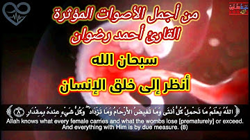 مقطع جميل جدا للقارئ الشيخ أحمد رضوان من اجمل التلاوات التي ستسمعها 💞👍