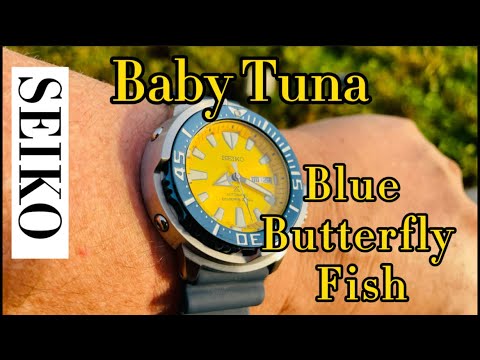 Seiko Prospex Baby Tuna Blue Butterfly Fish Limited Edition 2200pcs  srpd15k1 - YouTube