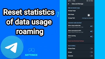How to reset statistics of data usage roaming On Telegram