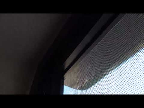 רשת ציר לא נפתחת