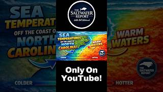 Temperature Map Reveals Hidden Fishing Zones #saltwater #tips