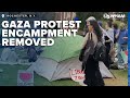 University of rochester removes gaza war protest encampment