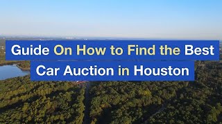 Guide On How to Find the Best Car Auction in Houston