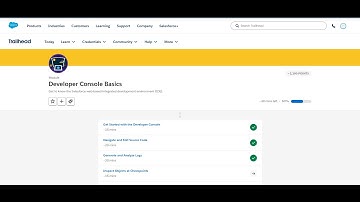 Generate and Analyze Logs || Developer Console Basics