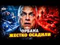 РВАНУЛО на весь Будапешт! Орбану прилетела ОТВЕТКА. Дружок Путина сел в лужу