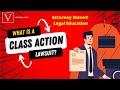 Class Actions Lawsuits Overview for Newbies