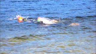 How to draft in open water swimming