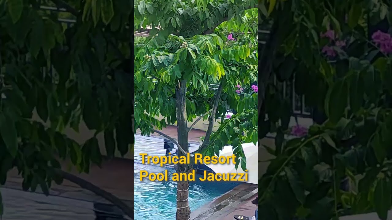 Dive into luxury salt water swimming pool right in your own apartment complex