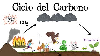 ♻️ Ciclo del Carbono ⚫️ [Fácil y Rápido] | BIOLOGÍA |