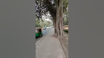 Ignou Solved Assignment PCO 2018-19