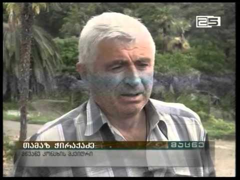 ბოტანიკურ ბაღთან ახლოს არსებული მიწის ნაკვეთი გაყიდულია