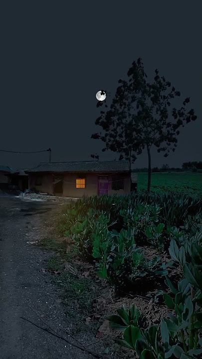 SUASANA Pedesaan Saat Malam Hari Bikin Kangen Rumah #shorts