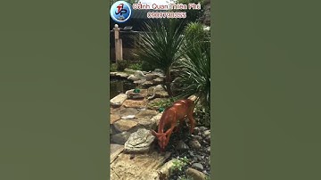 Thi công hòn non bộ thác nước chất liệu đá cổ thạch tại long an