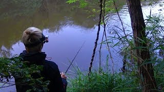 1メートル先のルアーに巨大魚が襲い掛かる。
