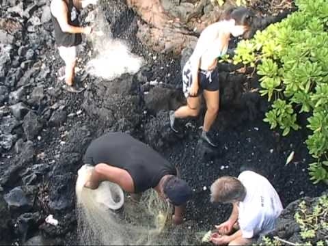 2004 Hana Film Festival - Maui Hawaii - Part 4 of 4
