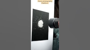 Macro photography #macro #photography #shorts #pixelguru