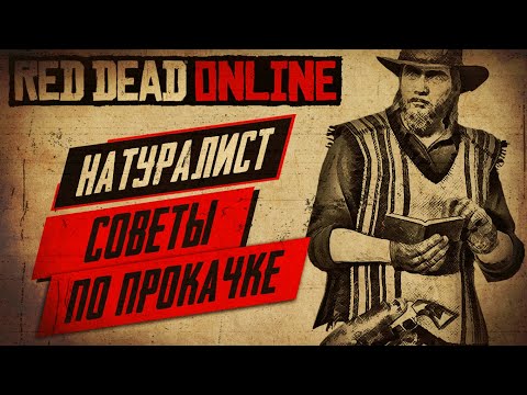 Видео: ★RED DEAD ONLINE - КАК БЫСТРО ПРОКАЧАТЬ НАТУРАЛИСТА★СОВЕТЫ ПО РОЛИ НАТУРАЛИСТА★ЧТО ЛУЧШЕ НЕ ПОКУПАТЬ