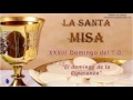 Santa Misa - Emisión, Domingo 13 de Noviembre 2016 (XXXIII del T.O.)